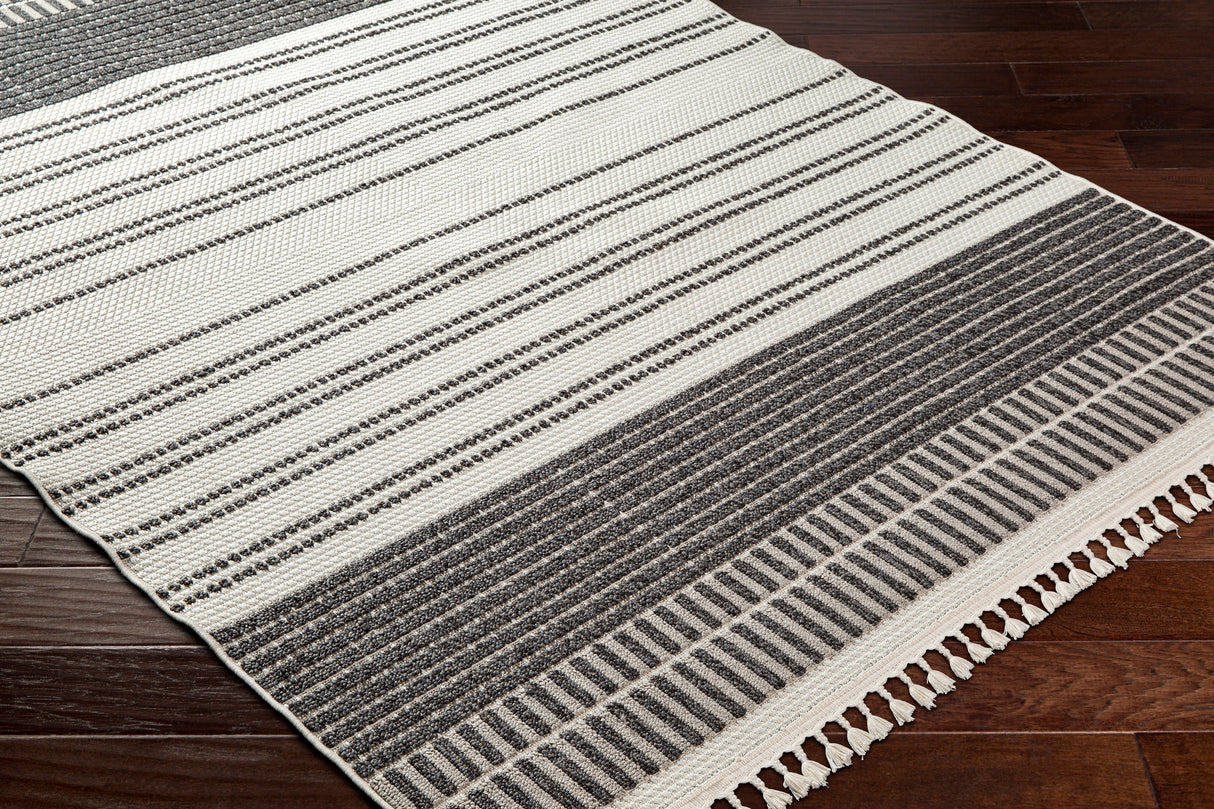 Surya Finland Fnd-2305 Cream, Black Rug.