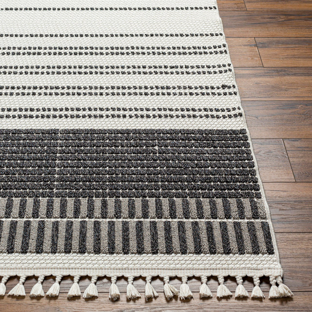 Surya Finland Fnd-2305 Cream, Black Rug.