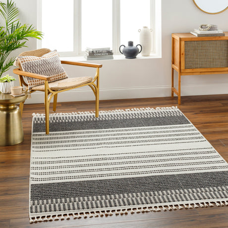 Surya Finland Fnd-2305 Cream, Black Rug.