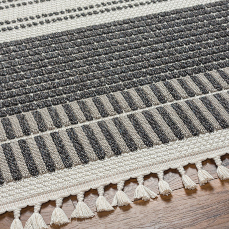 Surya Finland Fnd-2305 Cream, Black Rug.
