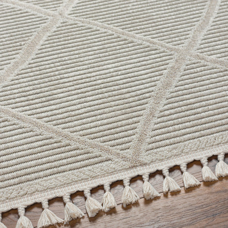 Surya Finland Fnd-2309 Cream Rug.