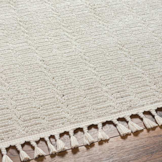Surya Finland Fnd-2310 Cream Rug.
