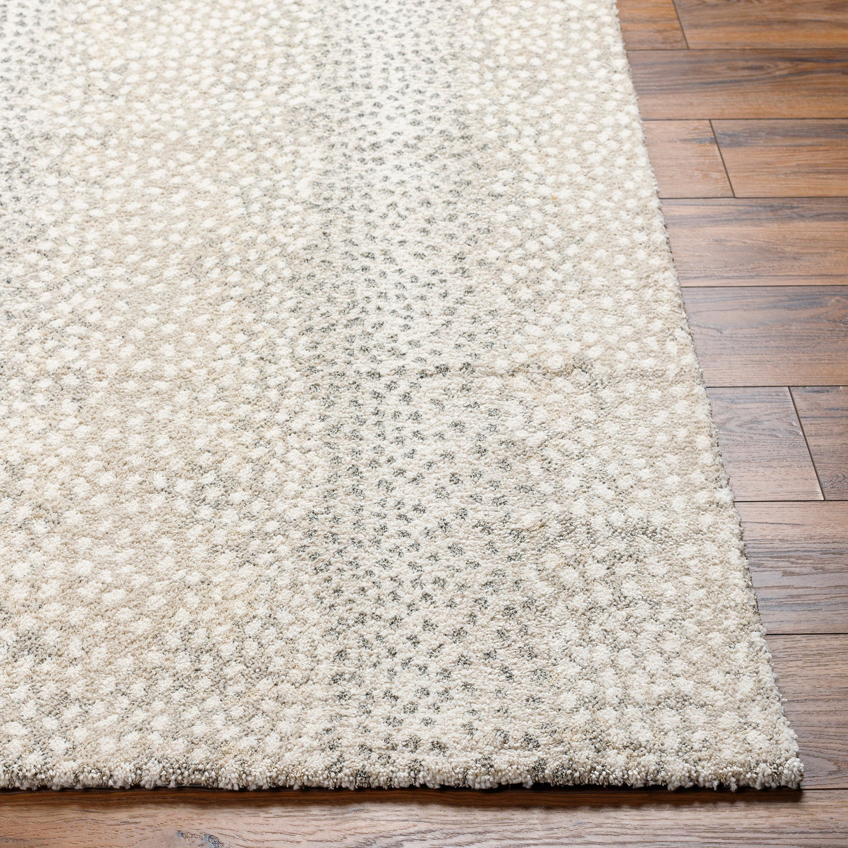Surya Gavic Gvc-2313 Light Grey, Warm Grey Rug.