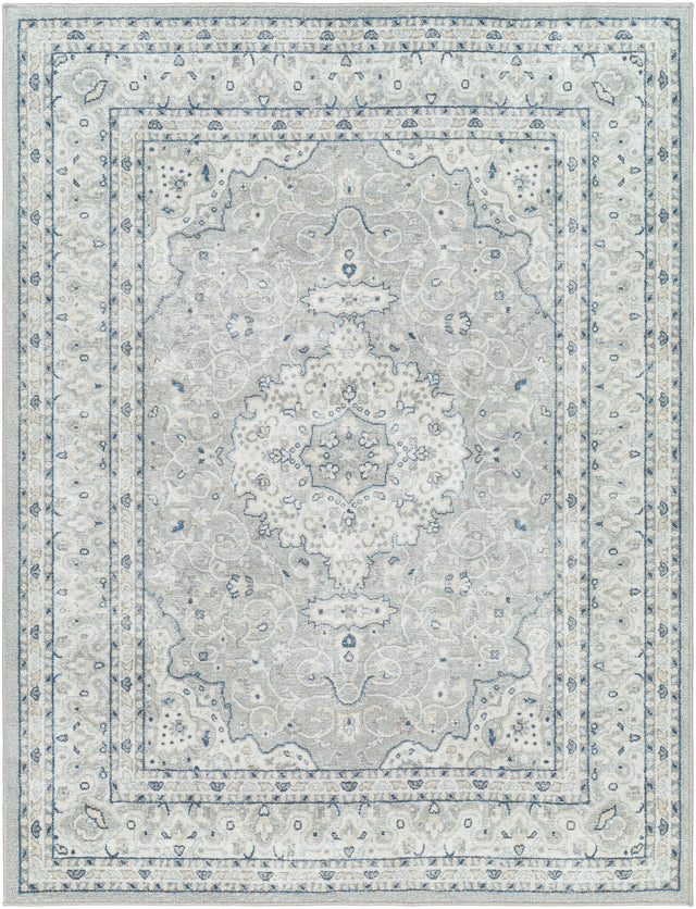 Surya Hera Hrh-2309 Light Grey, Sterling Grey, Pewter, Metallic - Silver Rug.