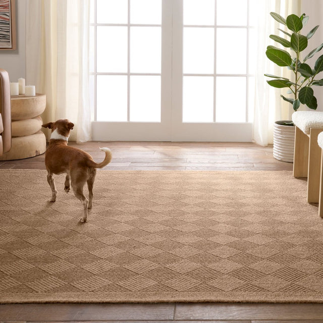 Jaipur Amanar By Label J Amanar Nmb05 Brown/Brown Rug.