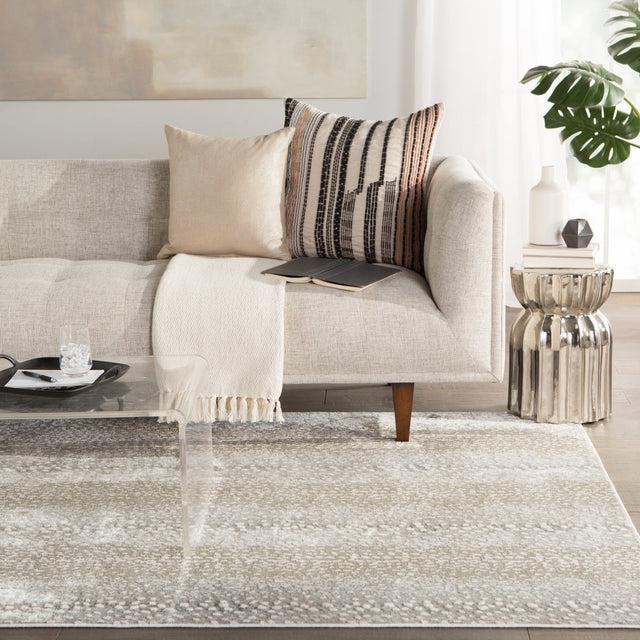 Jaipur Catalyst Axis Cty08 Gray/Natural Rugs.