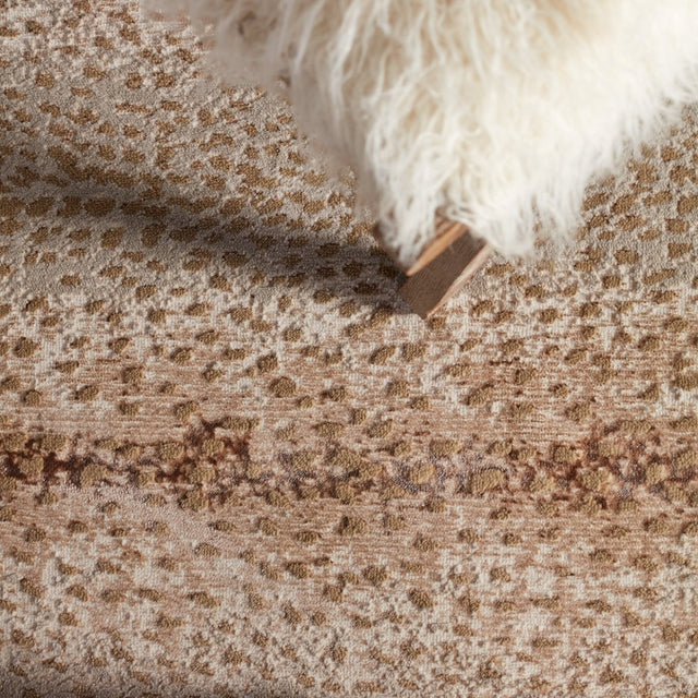Jaipur Catalyst Axis Cty13 Tan/Gray Rugs.