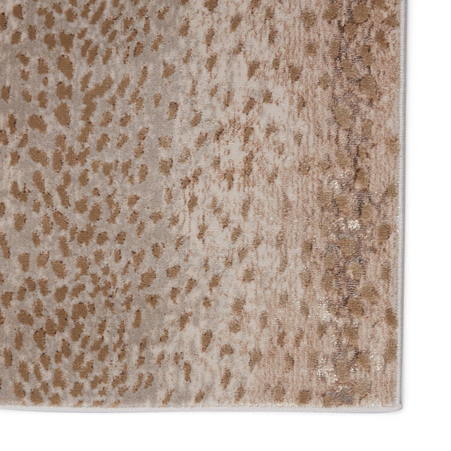 Jaipur Catalyst Axis Cty13 Tan/Gray Rugs.