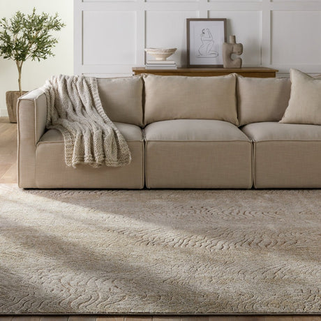 Jaipur Catalyst Dune Cty16 Brown/Taupe Rug.