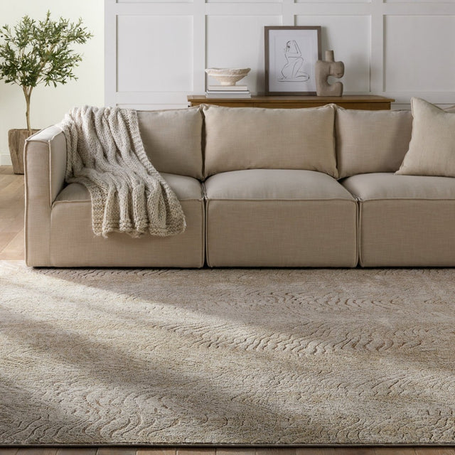 Jaipur Catalyst Dune Cty16 Brown/Taupe Rug.