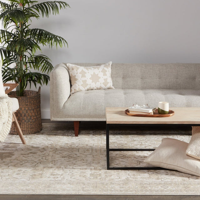 Jaipur Vienne Valentin Vne05 Cream/Light Gray Rugs.