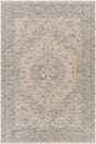Livabliss Avant Garde Avt - 2302 Light Gray, Medium Gray, Charcoal, Beige Rugs - Livabliss - avt2302 - 23