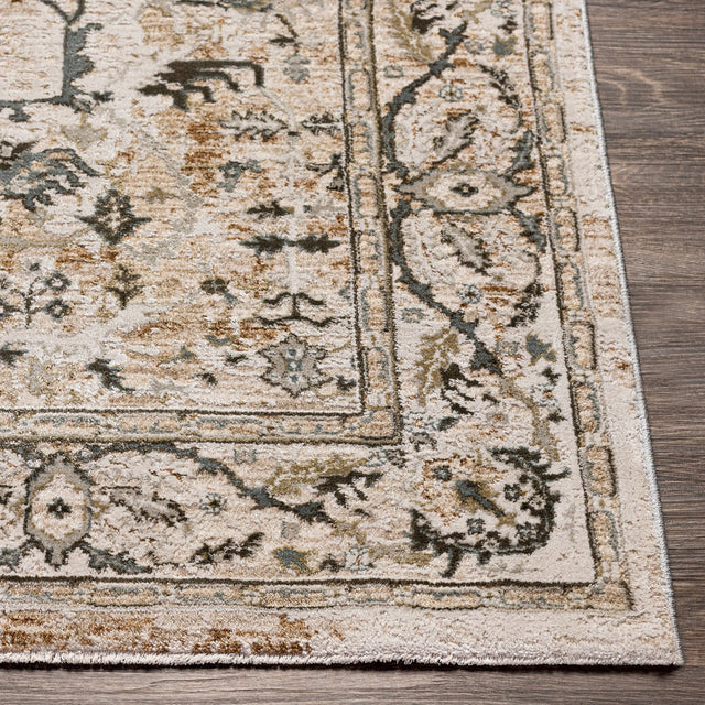 Livabliss Brunswick Bwk - 2312 Ivory, Beige, Khaki, Sage Rugs - Livabliss - bwk2312 - 2773
