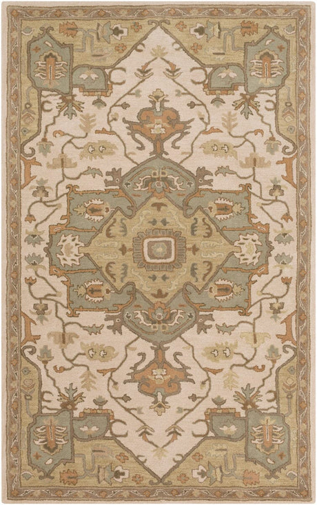 Livabliss Caesar Cae - 1143 Beige / Slate / Moss / Tan / Olive Rugs - Livabliss - cae1143 - 23
