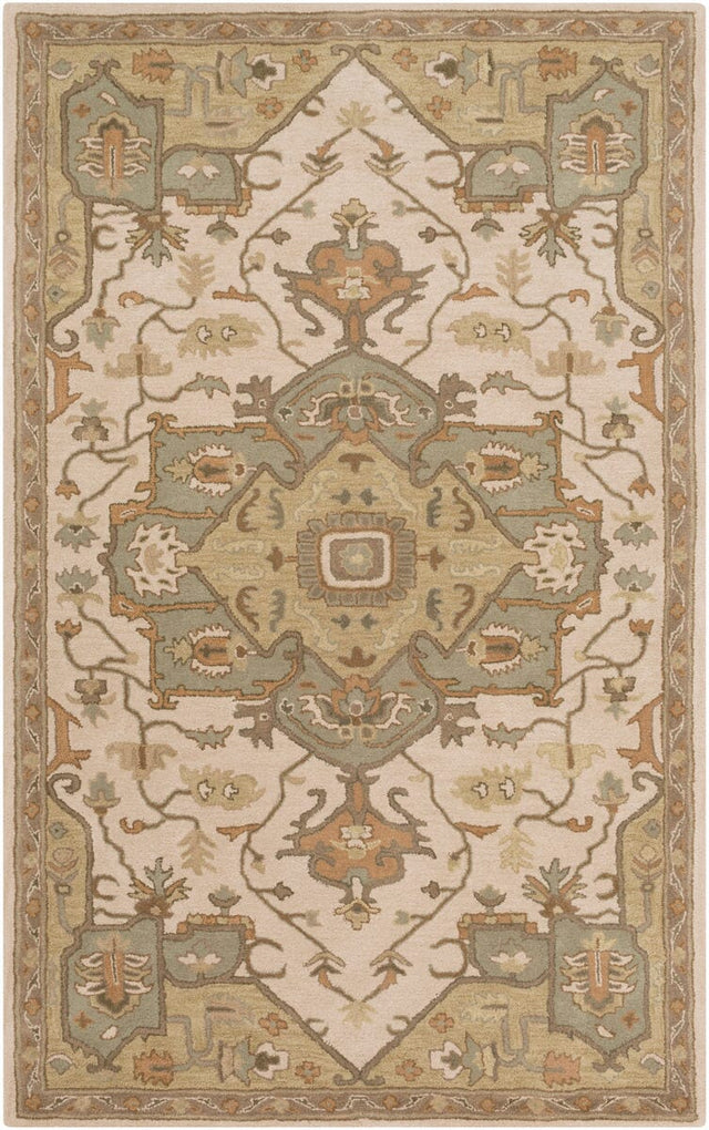 Livabliss Caesar Cae - 1143 Beige / Slate / Moss / Tan / Olive Rugs - Livabliss - cae1143 - 23