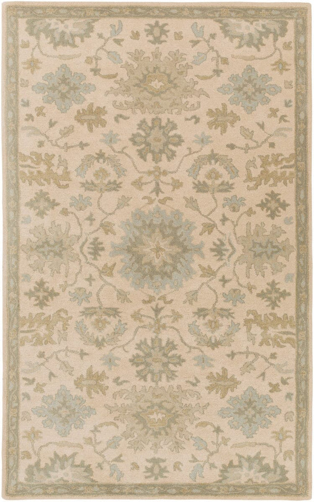 Livabliss Caesar Cae - 1161 Beige / Moss / Slate / Olive Rugs - Livabliss - cae1161 - 23