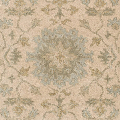 Livabliss Caesar Cae - 1161 Beige / Moss / Slate / Olive Rugs - Livabliss - cae1161 - 23