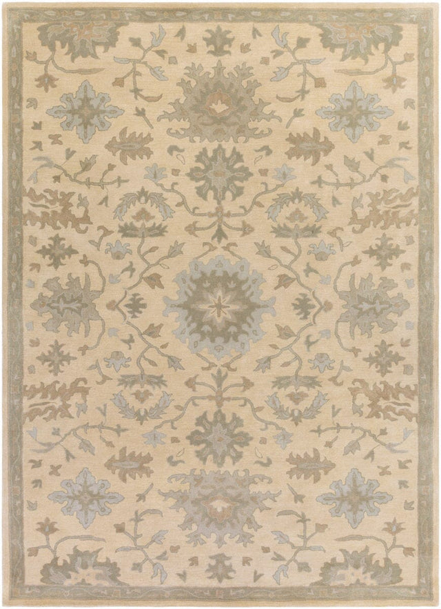 Livabliss Caesar Cae - 1161 Beige / Moss / Slate / Olive Rugs - Livabliss - cae1161 - 4rd
