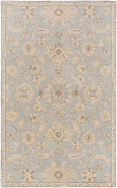 Livabliss Caesar Cae - 1162 Slate / Light Gray / Olive / Taupe Rugs - Livabliss - cae1162 - 23