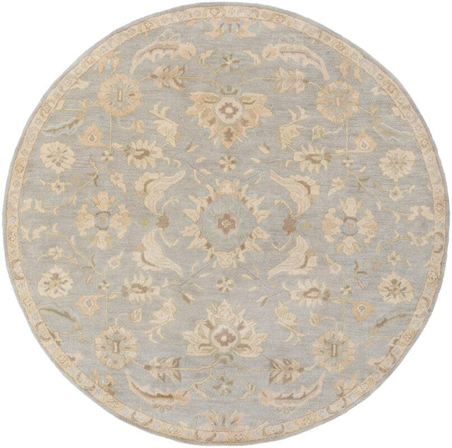 Livabliss Caesar Cae - 1162 Slate / Light Gray / Olive / Taupe Rugs - Livabliss - cae1162 - 4rd