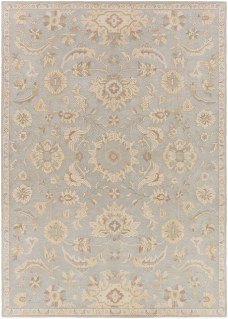 Livabliss Caesar Cae - 1162 Slate / Light Gray / Olive / Taupe Rugs - Livabliss - cae1162 - 4rd