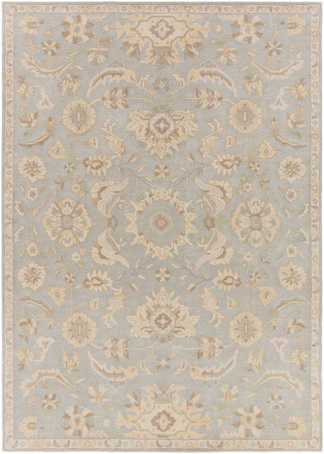 Livabliss Caesar Cae - 1162 Slate / Light Gray / Olive / Taupe Rugs - Livabliss - cae1162 - 4rd