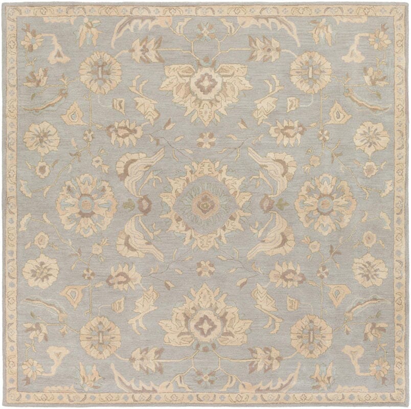Livabliss Caesar Cae - 1162 Slate / Light Gray / Olive / Taupe Rugs - Livabliss - cae1162 - 4sq