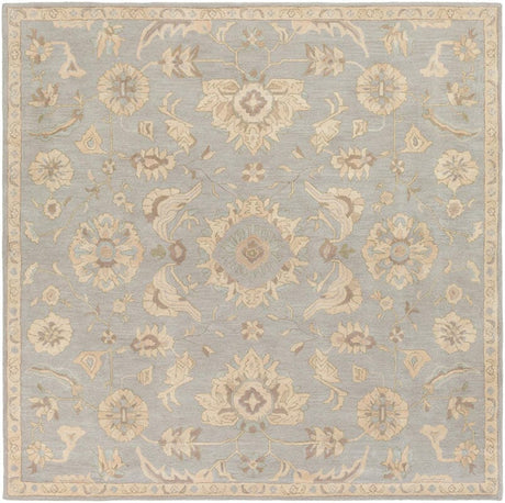 Livabliss Caesar Cae - 1162 Slate / Light Gray / Olive / Taupe Rugs - Livabliss - cae1162 - 4sq