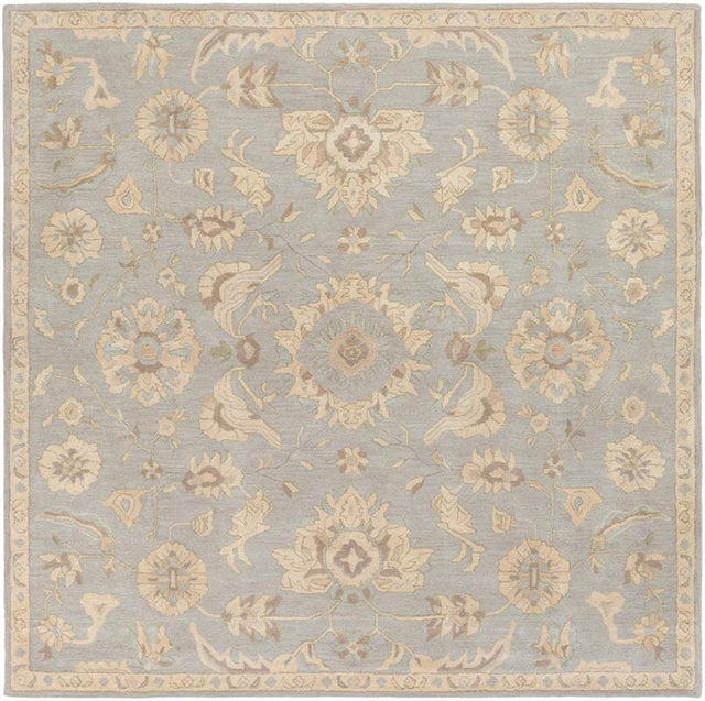 Livabliss Caesar Cae - 1162 Slate / Light Gray / Olive / Taupe Rugs - Livabliss - cae1162 - 4sq