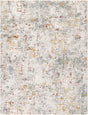 Livabliss Dresden Dre - 2315 Light Silver, Light Grey, Silver, Ash, Metallic - Silver Rug - Livabliss - dre2315 - 23