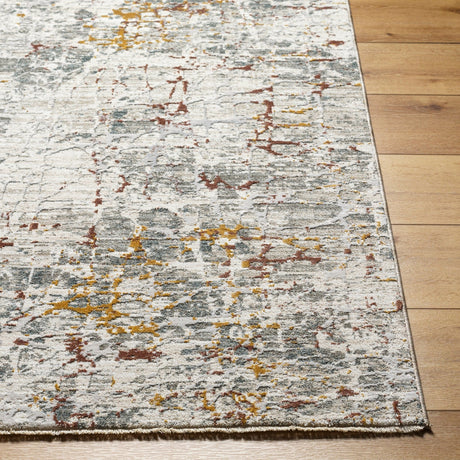 Livabliss Dresden Dre - 2315 Light Silver, Light Grey, Silver, Ash, Metallic - Silver Rug - Livabliss - dre2315 - 23