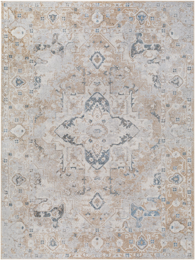 Surya Lillian Lll-2335 Oatmeal, Gray, Brown, Dark Blue, Black Rug.