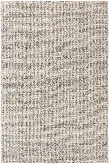 Surya Lucerne Lne-1001 Charcoal, White Rugs
