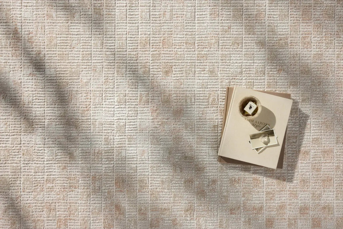Loloi Townes TOW-06 Beige / Clay Rug - styled aerial 1