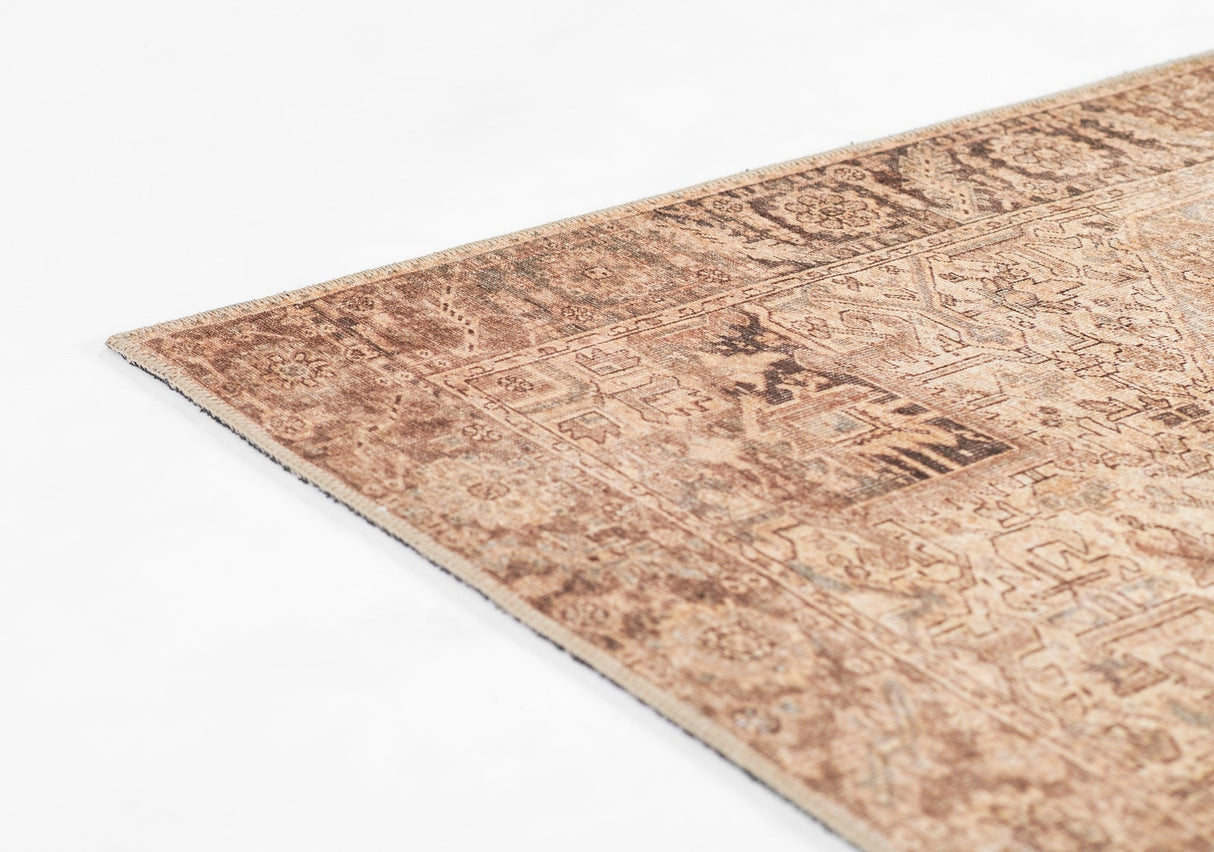 Momeni Ariana Ari - 3 Brown Rug - Momeni - arianari - 3brn2030