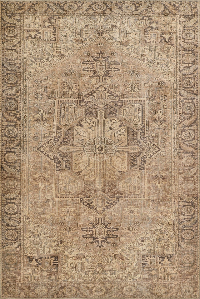 Momeni Ariana Ari - 3 Brown Rug - Momeni - arianari - 3brn2030
