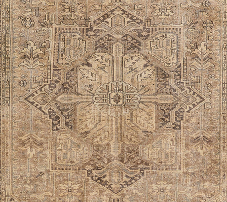 Momeni Ariana Ari - 3 Brown Rug - Momeni - arianari - 3brn2030