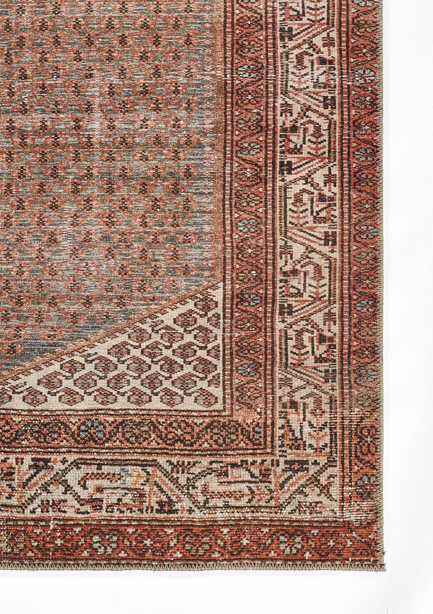 Momeni Ariana Ari - 9 Rust Rug - Momeni - arianari - 9rst2030