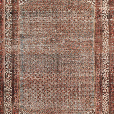 Momeni Ariana Ari - 9 Rust Rug - Momeni - arianari - 9rst2030