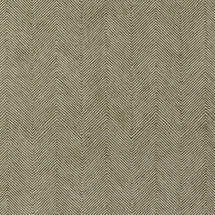 Momeni Charles Chr - 1 Green Rug - Momeni - charschr - 1grn2030
