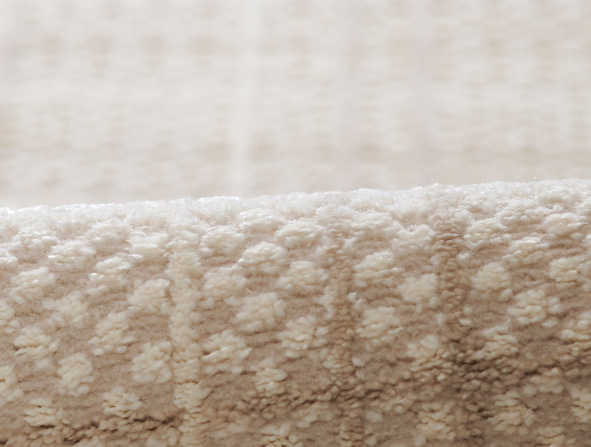 Momeni Talia Tli - 1 Beige Rug - Momeni - taliatli - 1bge4060