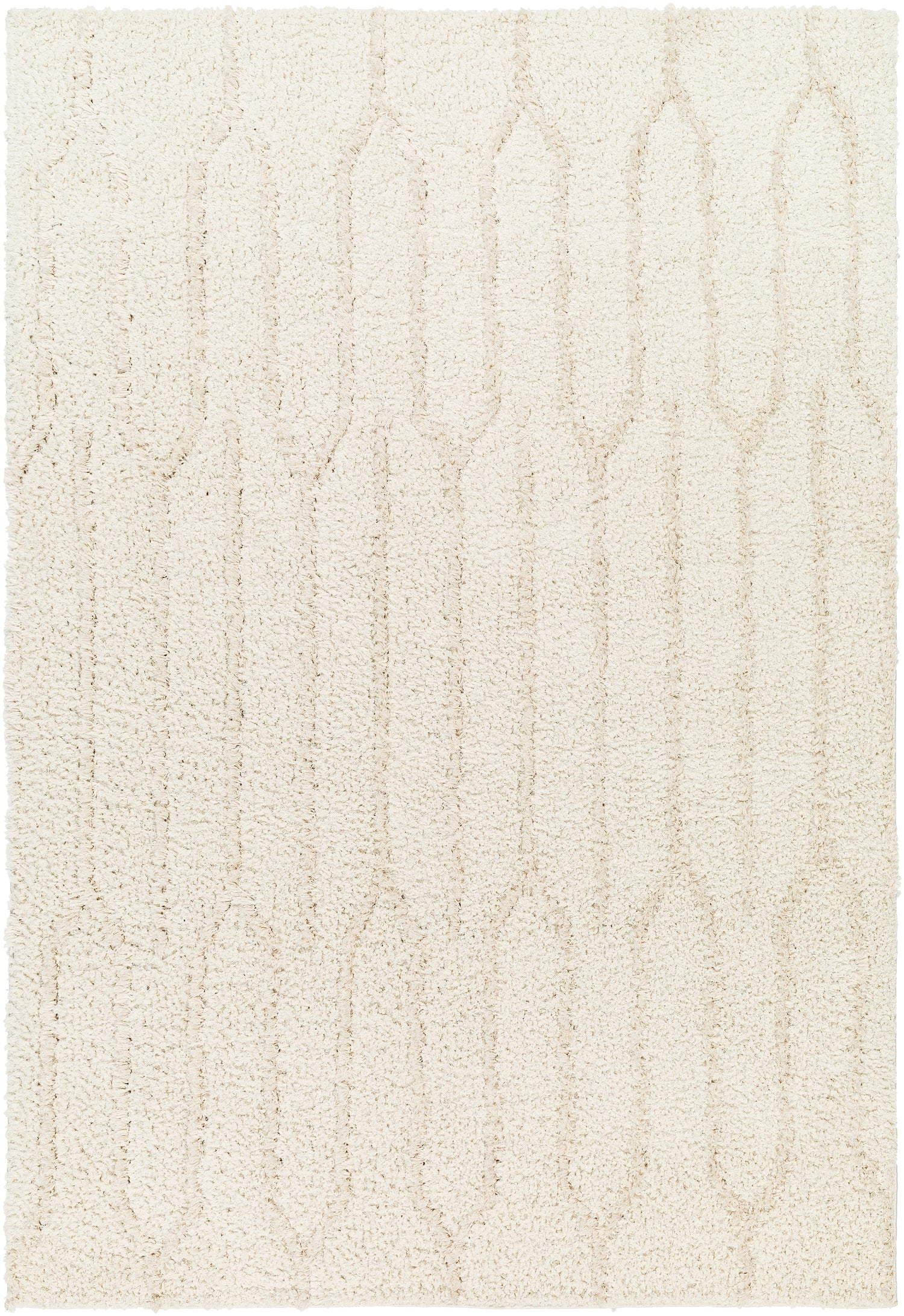 Surya Maryland Shag Msg-2301 Ivory, Off-White Rug.