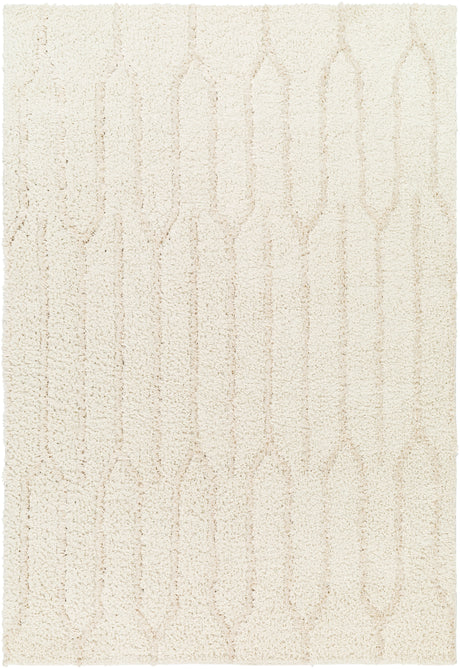 Surya Maryland Shag Msg-2301 Ivory, Off-White Rug.