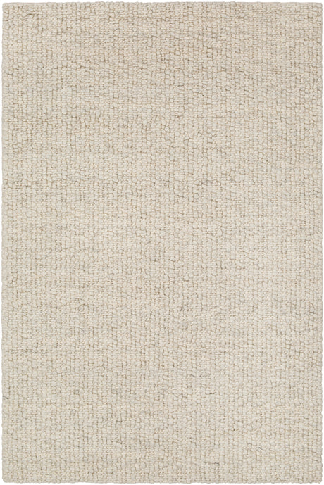 Surya Neravan Ner-1001 Cream, Charcoal Rug.