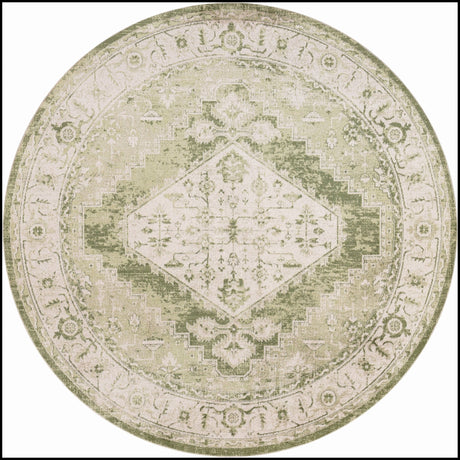 Nourison Astra Machine Washable Asw11 Ivory Green Rug - Nourison - 99446964113