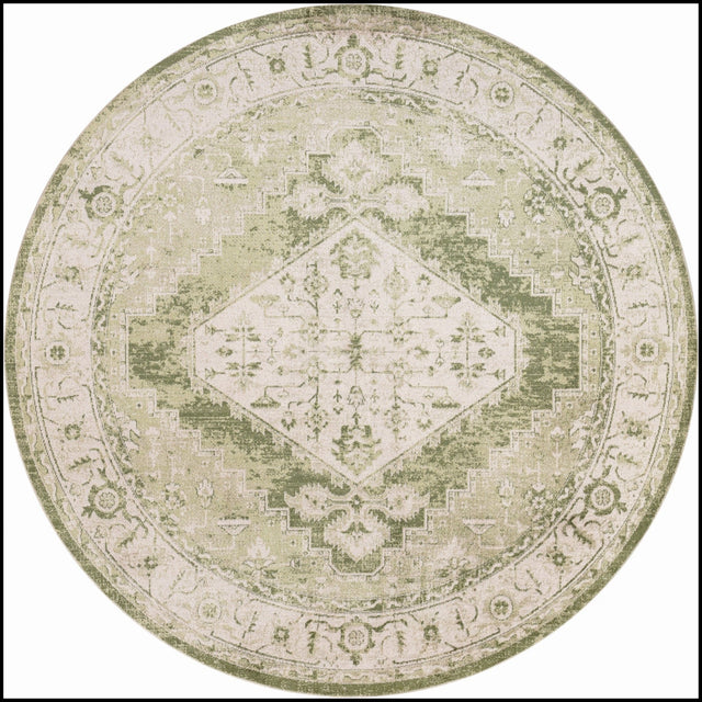 Nourison Astra Machine Washable Asw11 Ivory Green Rug - Nourison - 99446964113