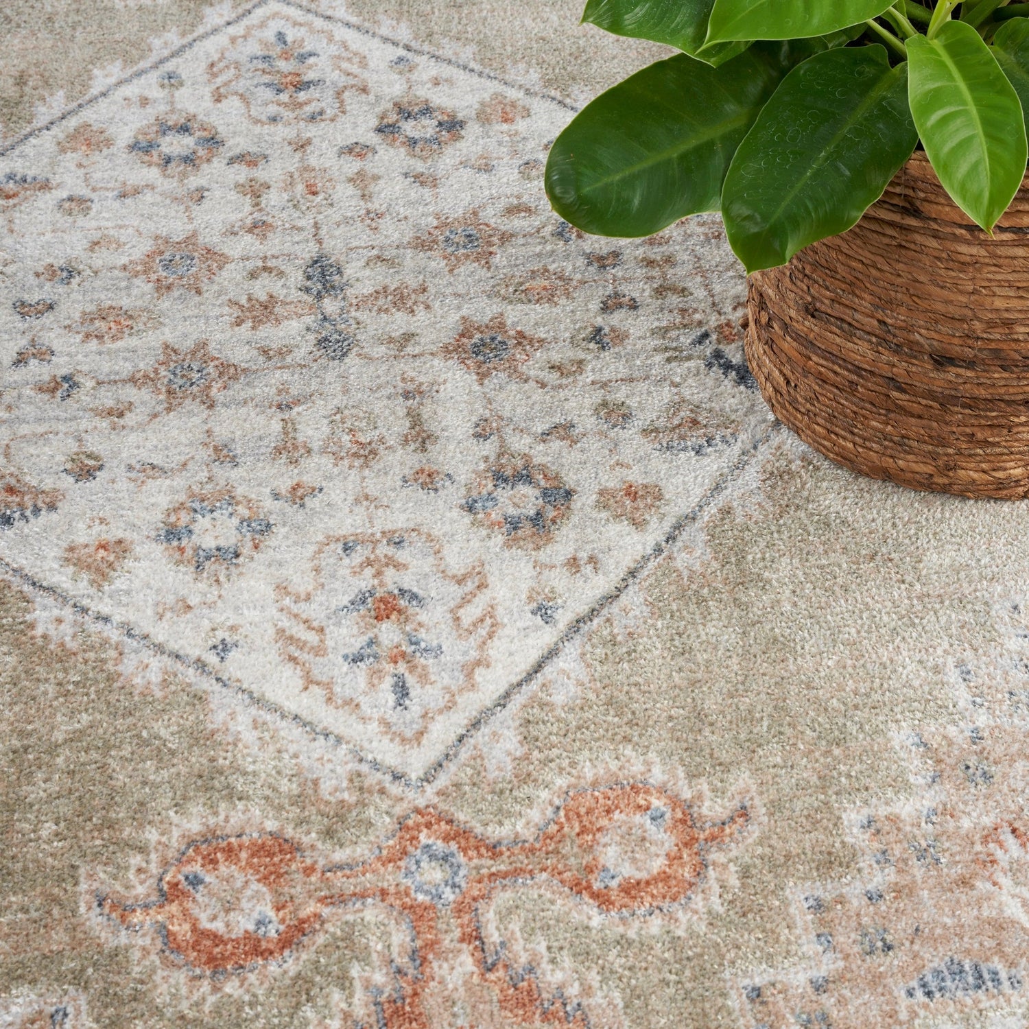 Nourison Astra Machine Washable Asw11 Sage Multi Rug - Nourison - 99446124173
