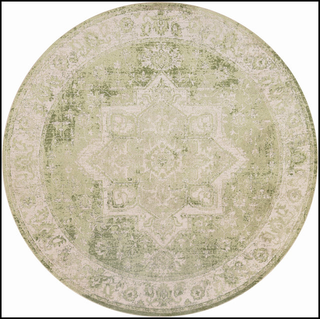 Nourison Astra Machine Washable Asw12 Ivory Green Rug - Nourison - 99446964571