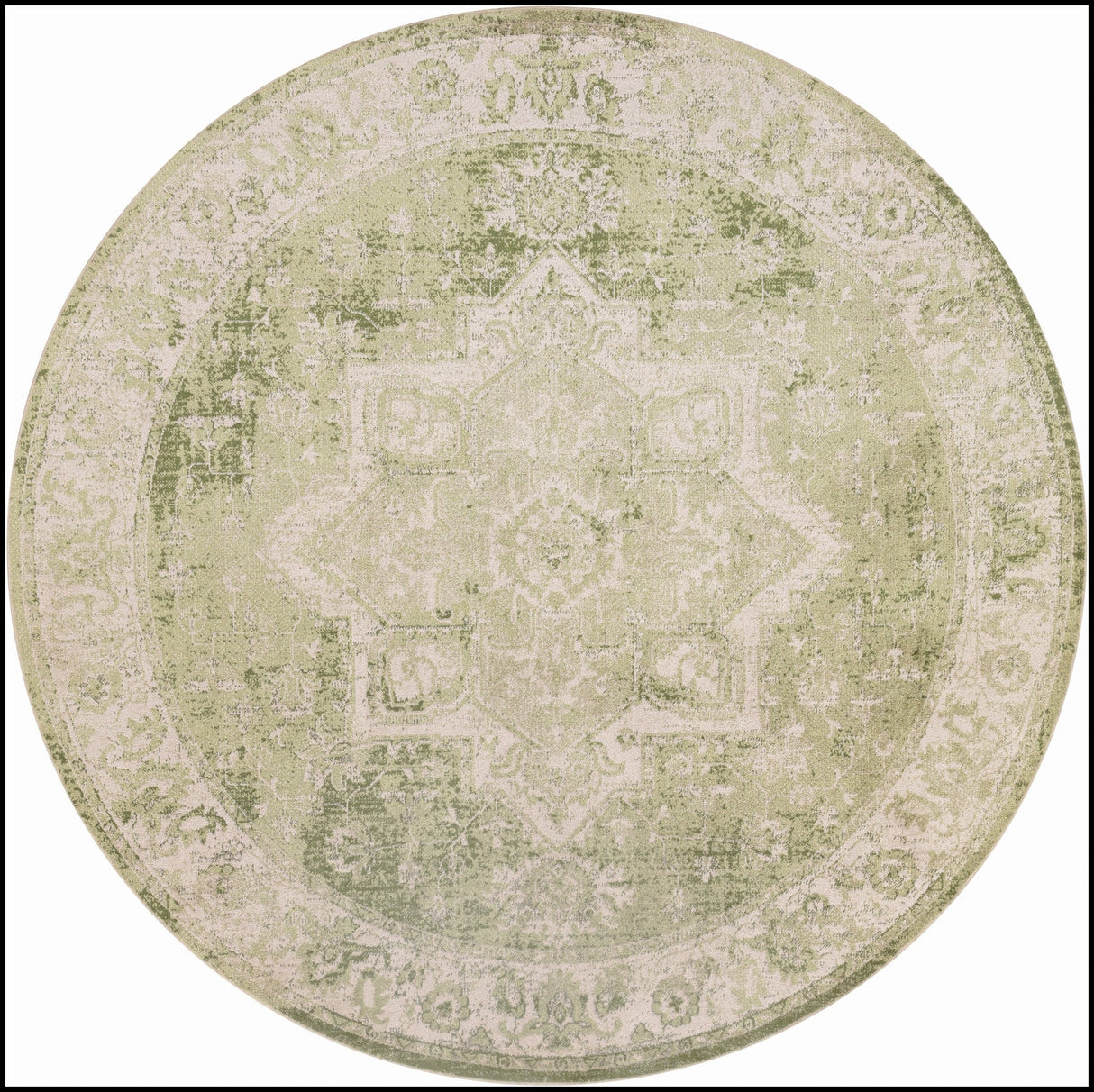 Nourison Astra Machine Washable Asw12 Ivory Green Rug - Nourison - 99446964571
