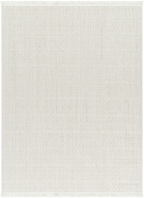 Surya New Delhi Nwh-2308 Light Silver, Light Grey, Off-White Rug.